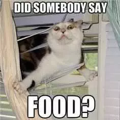 Food Didsomeonesay
