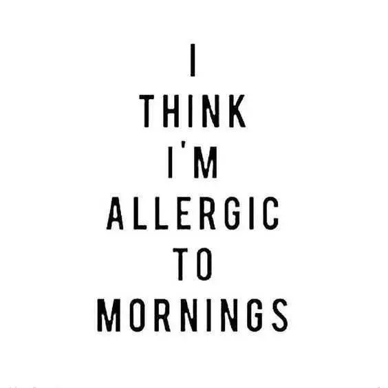 Funny Allergicmornings