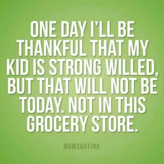 Funnyquote Parentingstrongwilled