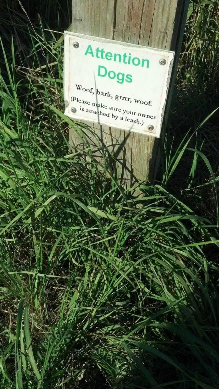 Funnysign Dogsign