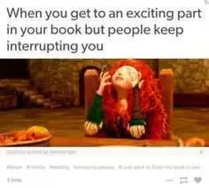 Meme Bookinterrupt