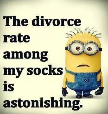 Minion Divorcesock