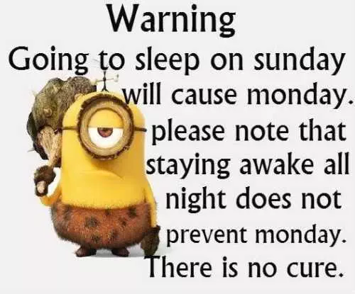 Funny Minion Pictures 4  Sleep