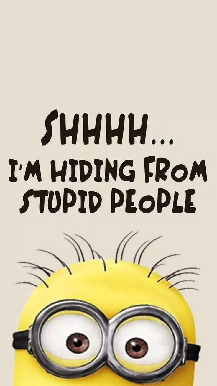 Funny Minion Pics 3  Stupid People