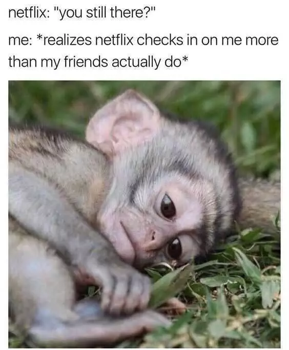 Netflix Monkey
