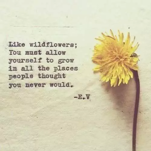 Quote Beawildflower