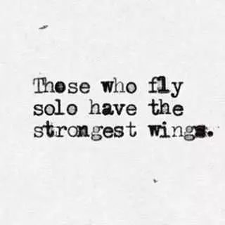 Quote Flysolo