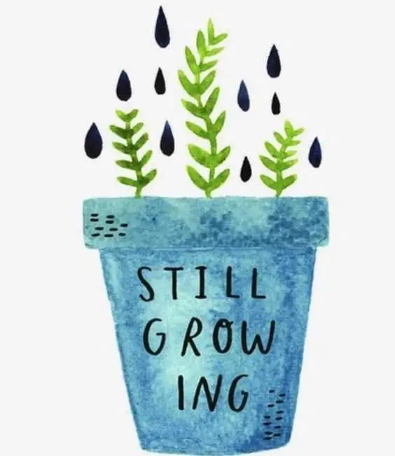 Quote Stillgrowing
