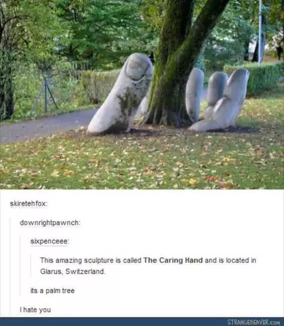 Tumblr Palmtree