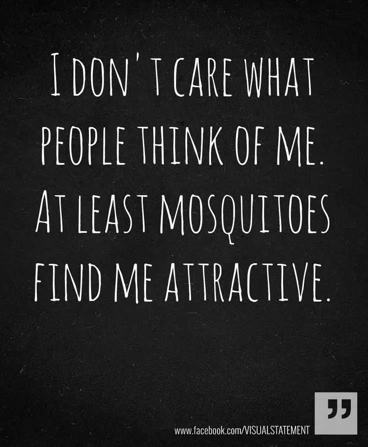 Funny Mosquitos