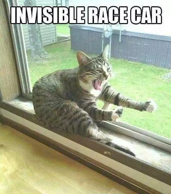 Funny Race Car