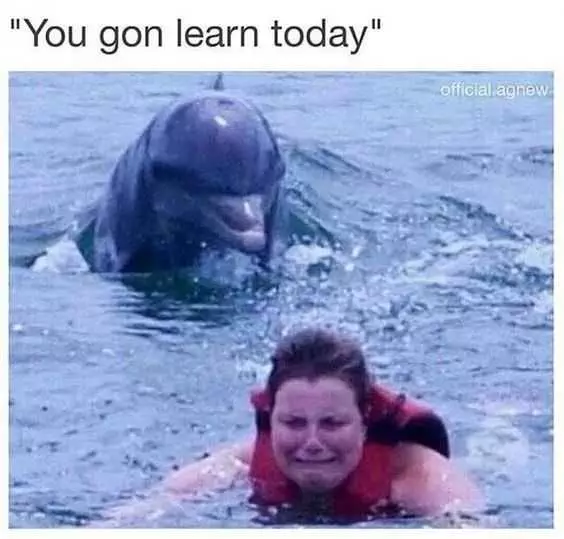 Funny Run Dolphin