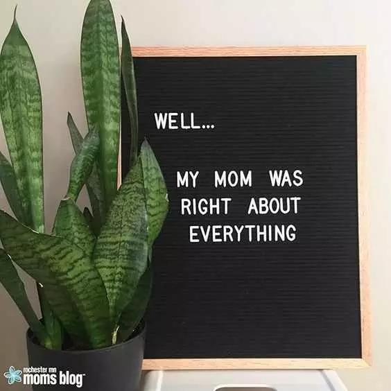 Letterboard Momwasright