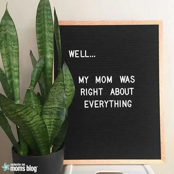 Letterboard Momwasright