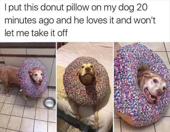 Meme Donutdog