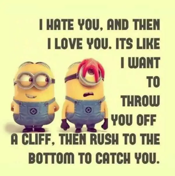 Minion Hateloveyou