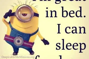 Minion Sleepfordays