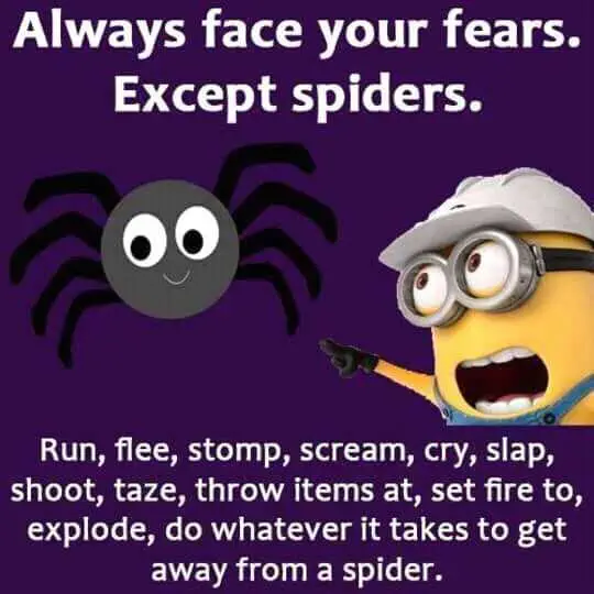 Minion Spiders