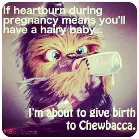 Pregfunny Chewbacca