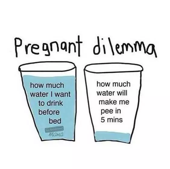 Pregfunny Howmuchwater
