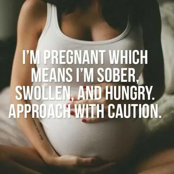 Pregfunny Sober