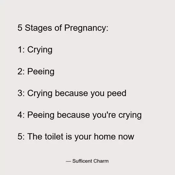 Pregfunny Stages5