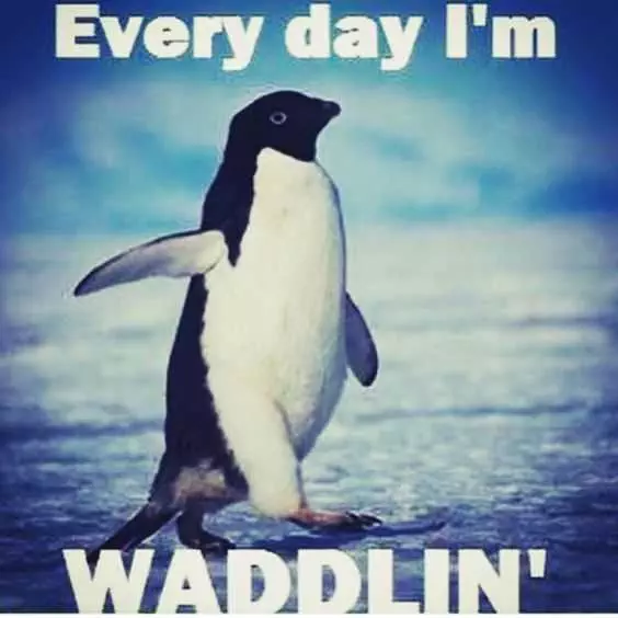 Pregfunny Waddling