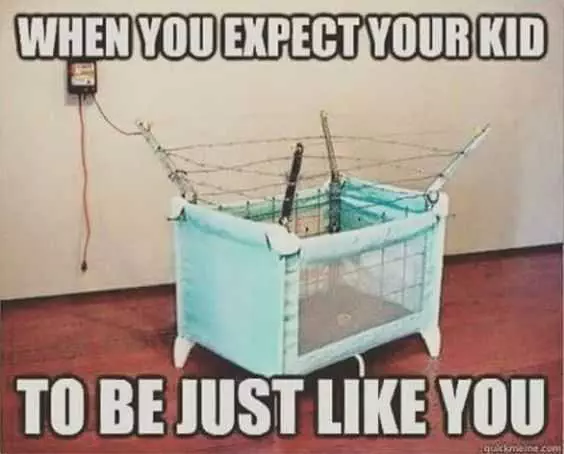 Pregfuny