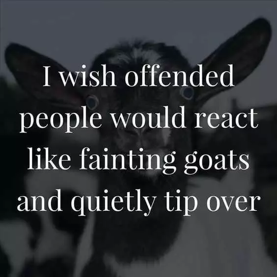 Quote Faintinggoats