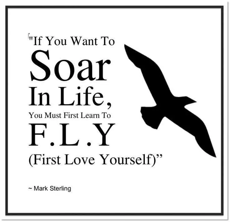 Quote Soarfly