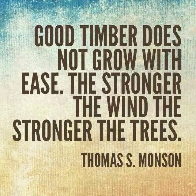 Quote Strongerthewind