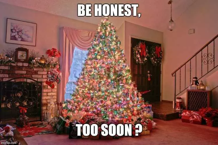 Christmas Too Soon Meme Early Bird...