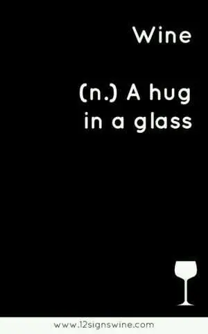 Funny Wine Hug Glass