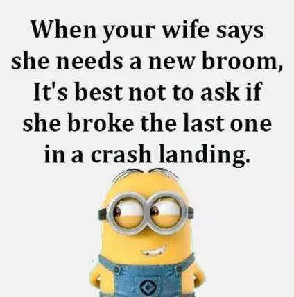 One Of The Funniest Minion Quotes About Not Getting In Trouble With The Wife