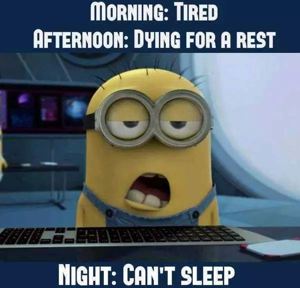 A Funny Minion Quote About How This Minion Feels In The Morning, Afternoon And Night