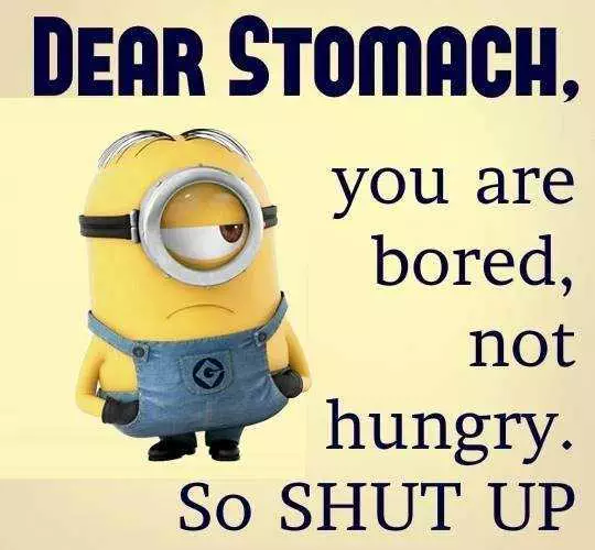 Funny Minions Quote About Growling Stomachs