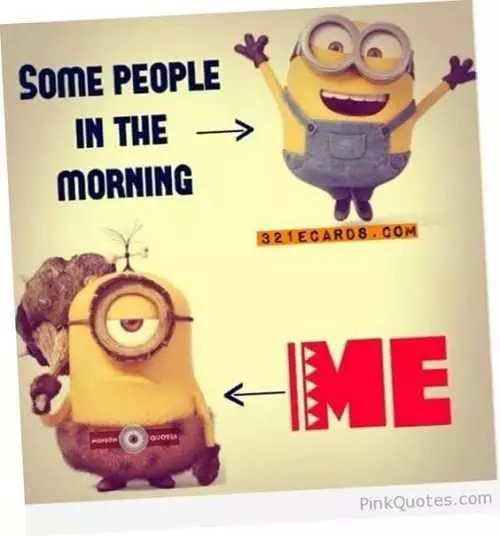 A Funny Pictorial Minion Quote Comparing 2 Minions' Mood In The Morning