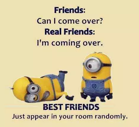 Minion Quote About Different Types Of Friends
