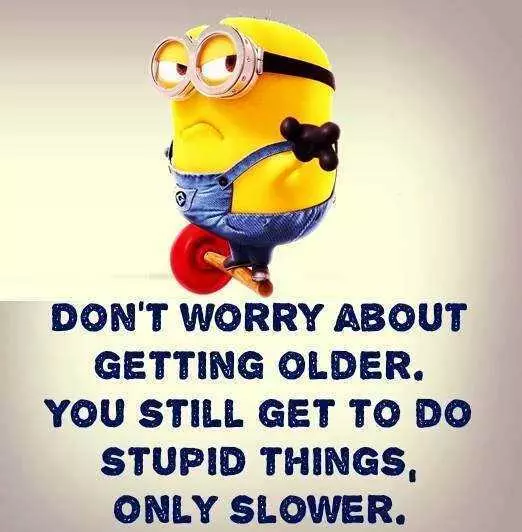 One Of The Most Hilarious Minion Quotes About Aging