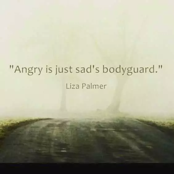 Another Quote About Anger
