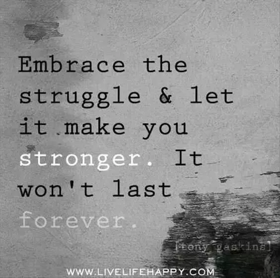 Quote About Struggle