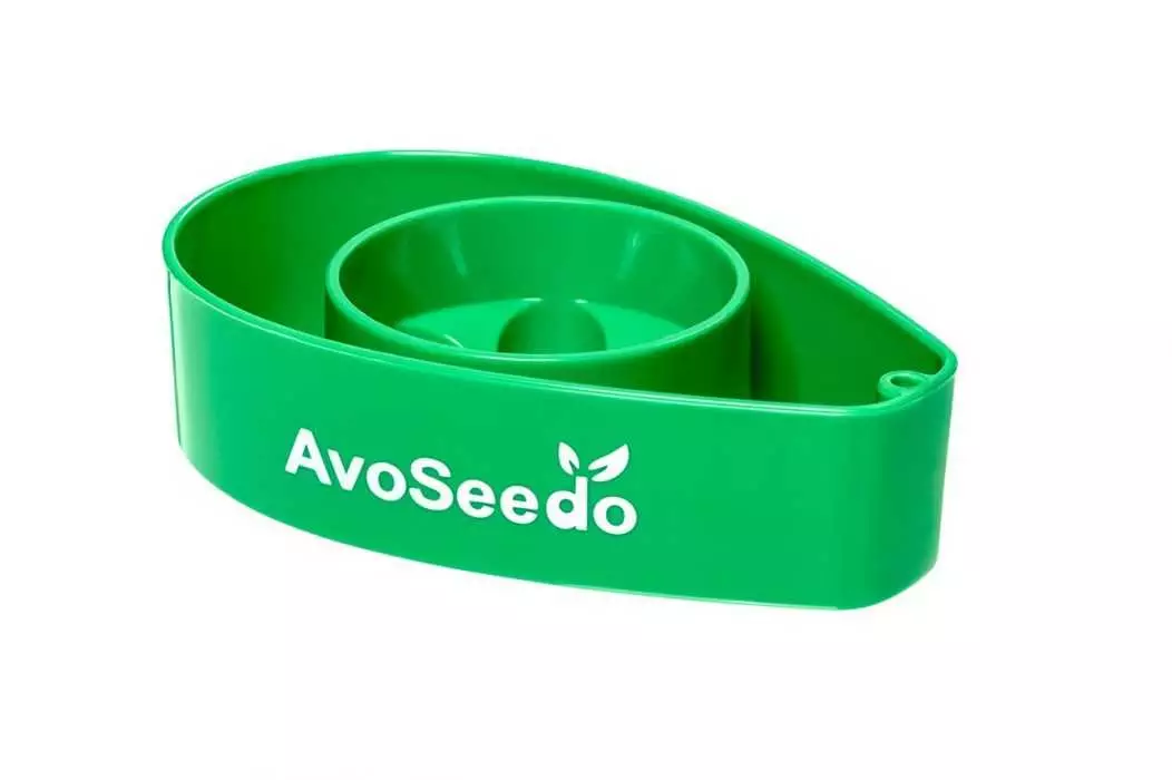Grow Your Own Avocado Tree With Avoseedo