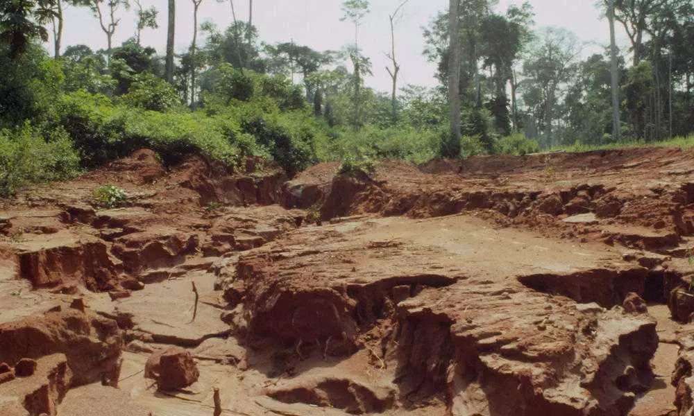 Deforestation Impacts Soil Erosion Hi 38828