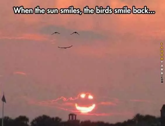 Funny Bird Smiles