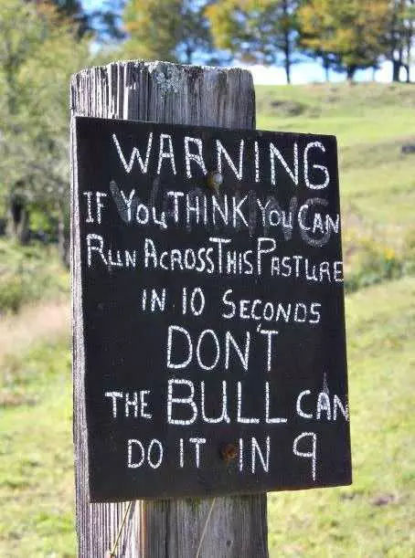 Funny Bull Run