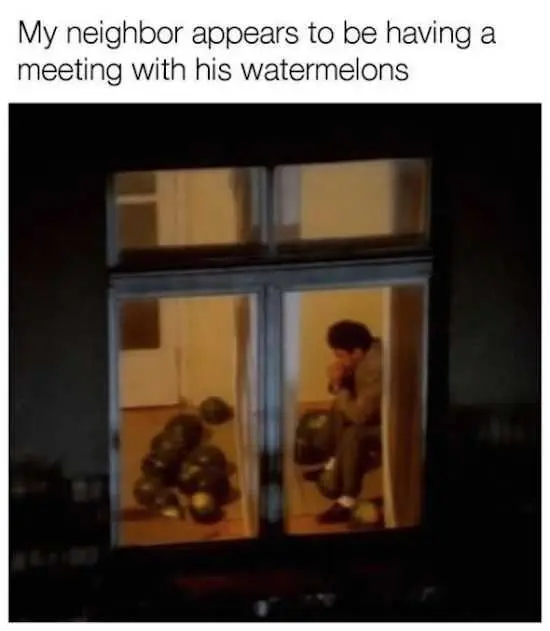 Funny Images Neighbor Problems