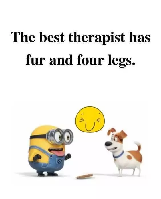 31 Funny LaughOutLoud Minions Pictures Best Therapist