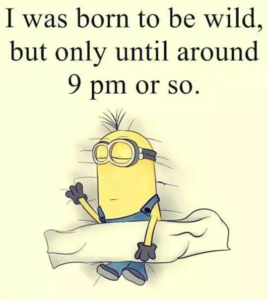31 Funny Laughoutloud Minions Pictures  Wild Till 9Pm