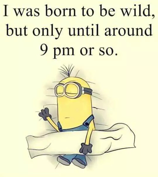 31 Funny LaughOutLoud Minions Pictures Wild Till 9Pm