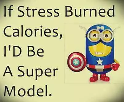Snarky Minion Quote About Stress